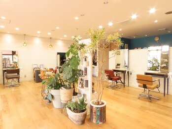 スピカヘアー(spica hair)の写真/お客様に寄り添い、心を込めた丁寧な施術でキレイをお手伝い◎広々空間でゆったりとした時間が過ごせます♪