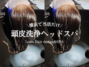 Lowe Hair design & SPA