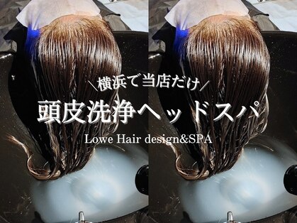 レーベ(Lowe)の写真