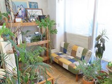 フューエル(FUEL)の雰囲気（店内にはたくさんの観葉植物）