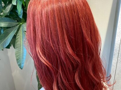 ブロック 日吉店(BLOC)の写真