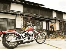 青樹 木と風