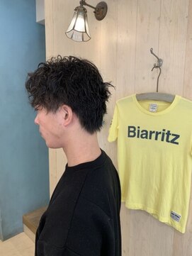 ビアリッツ(Biarritz) ソフトツイスパ
