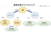 自分の髪に合ったメニューが分かる一覧表☆美髪になれるかの事前カウンセリング☆郡山/髪質改善/縮毛矯正