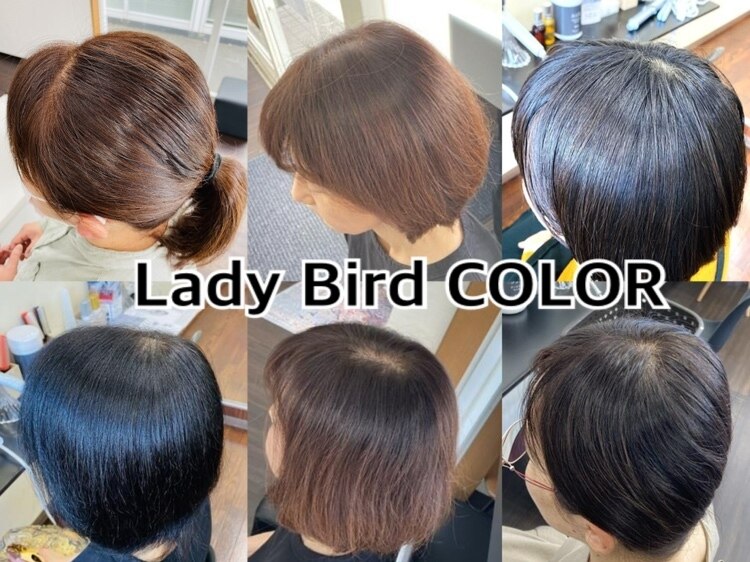 レイディバードカラー ヤオコー足利八幡店｜ホットペッパービューティー