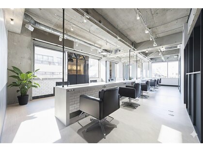 エース(ACE:Re)の写真