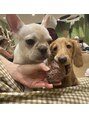ヴィサージュプラス(VISAGE plus)&nbsp;動物や自然が好きです！