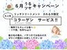 ６月限定【根本】ハリ・コシ・ツヤ＋ リッチトリートメント≪コラサービス≫ 
