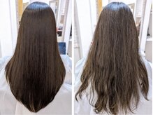 パーフェクトビューティーイチリュウエスエス(perfect beauty ichiryu SS)