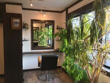 メイハ(MEIHA)の雰囲気（暖かい日の光が差し込む店内。緑で安らぎの空間はまるで隠れ家…）