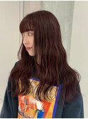 【YOKE】ダブルカラーワインレッドボルドーブリーチ無し暖色