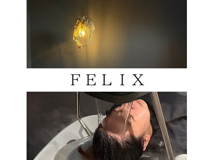フェリックス(FELIX)の写真