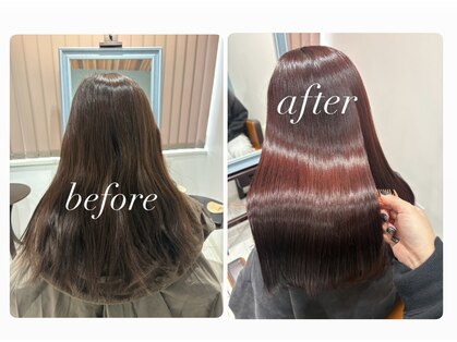 アロー(ARrow)の写真