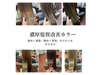 レプリュス Leplusの写真