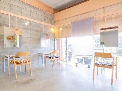 シロ(SHIRO)の写真