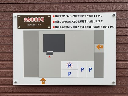シンセリティ(sincerity)の写真