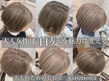 カミノワ(kaminowa)