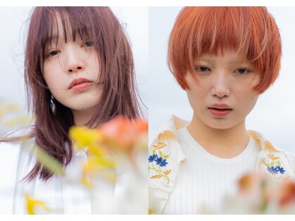 ヴィル(VILLE)の写真