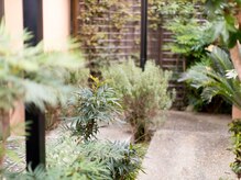 マエアレグリア(Mae Alegria)の雰囲気(窓から見える景色は緑で溢れる癒しの空間◇)