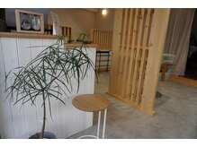 アクラ(aqula)