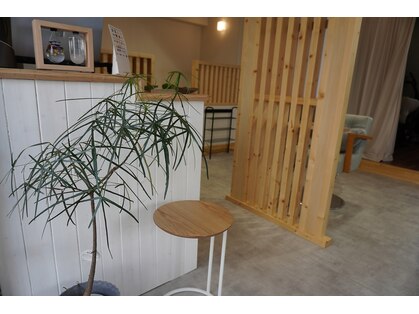 アクラ(aqula)の写真