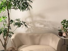 アン(An)の雰囲気（グリーンで癒される店内です＾＾）