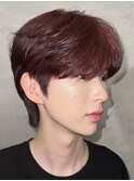 韓国シースルーマッシュミニウルフワインレッド