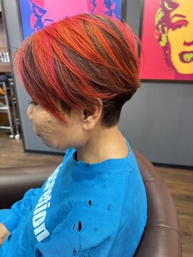 ゼニス(Zenith) デザインカラー