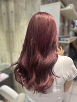 トムキャット(TOM CAT) ダークレッド