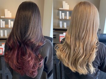 ビセオ 八事店(VISEO)の写真/[八事日赤駅]イルミナカラーを始め、豊富なカラーラインナップによる再現度の高い技術を提供します。