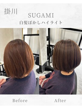 スガミ(SUGAMI) 白髪ぼかしハイライト