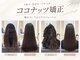 フラッフィー(Fluffy)の写真