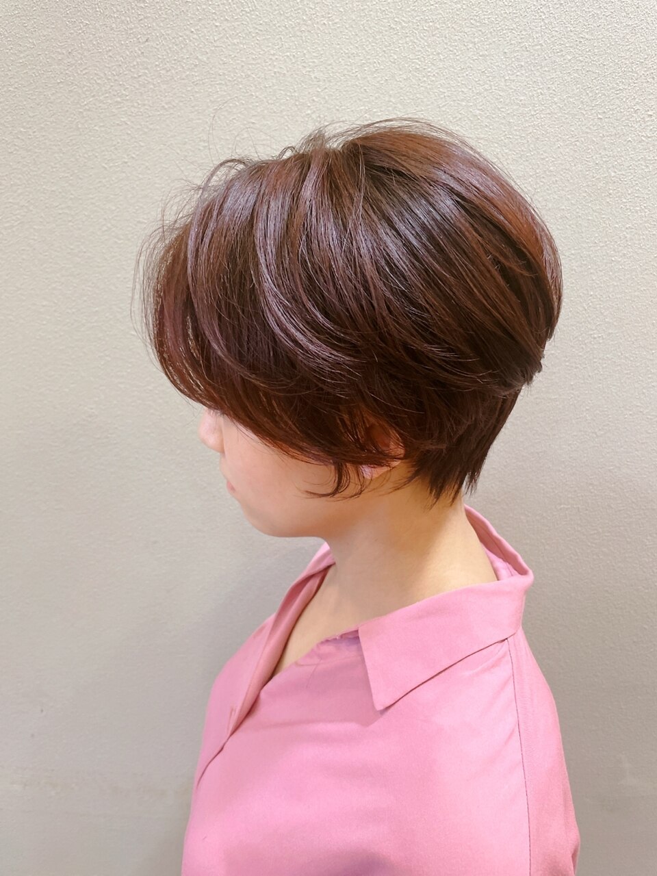 魅力的な 493 ⭐️花付き Hepatica/schlyteri(Ash Hy)Pink 植物/観葉