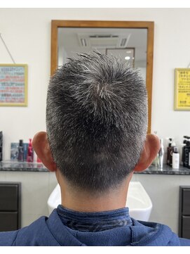 ヒキチ(Hikichi) ベリーショート