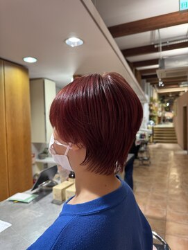 アルファサリダ(ALPHA SALIDA) 伸ばしかけミニウルフ