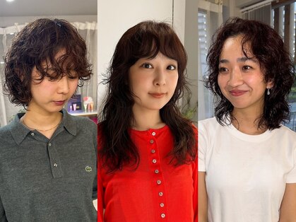 シプレ(cipre)の写真