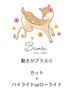 【立体感とおしゃれ感◎】カット＋ハイライト（ブリーチ有）