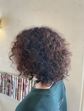 ケストラ(KESTRA) プードルパーマ