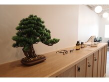 ブラウン バイ イフ 福島(BROWN by if)の雰囲気（こだわりのインテリア）