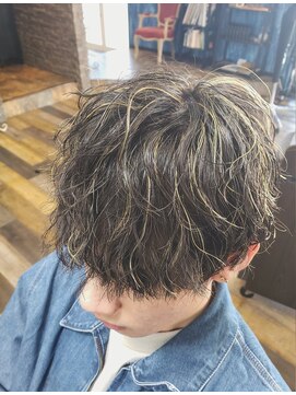 【Canopus メンズカラー】