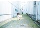 ムク(muku)の写真