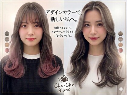 チャチャブラン(cha-cha Blanc)の写真