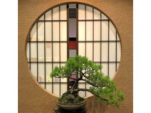 日本文化の盆栽展示。海外では生きた芸術とまで言われています。