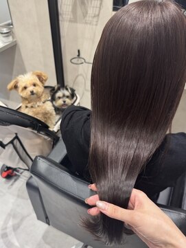 ドッグマニアピンチアオヤマ(DOGMANIA PiNCH AOYAMA) 艶髪カラー／トリートメント／レイヤーカット