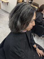 チザン(TIZAN) メンズ白髪ぼかしハイライト