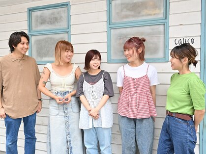 キャリコ(calico)の写真