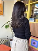 〈浅草 半個室〉スウィングレイヤー/シアーベージュ