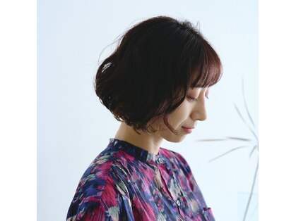 マリンゴ(marengo)の写真