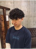 プードルパーマ