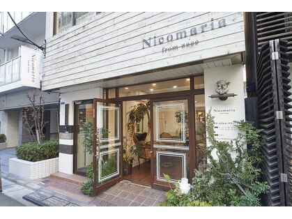 ニコマリア(Nicomaria from zacc)の写真